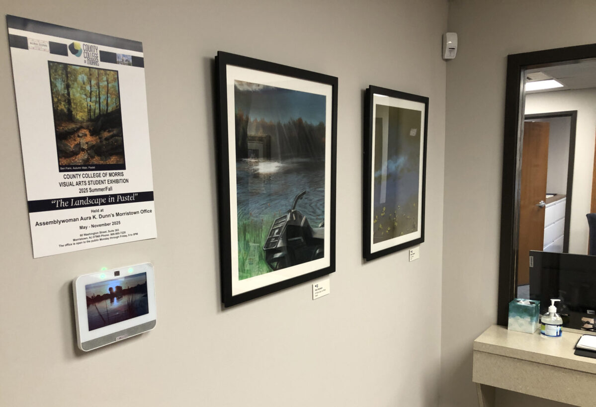 CCM Visual Arts Students Showcase Morris County in Free Art Exhibit 